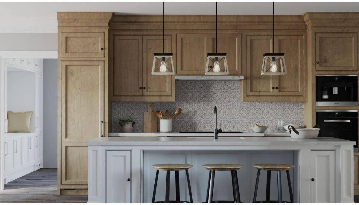 Progress Lighting Briarwood Collection 1-Light Coastal Mini-Pendant Light Graphite, Black