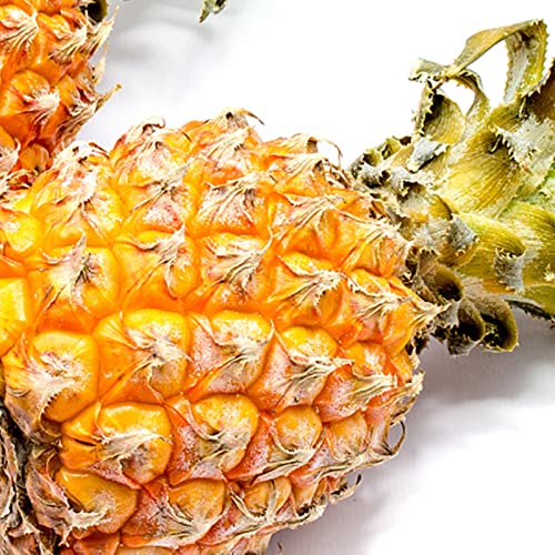 Haloppe 20 piezas de semillas de frutas de piña para plantar en el jardín del hogar, semillas de piña semillas de frutas perennes de Comosus para granja Semillas de Ananas Comosus