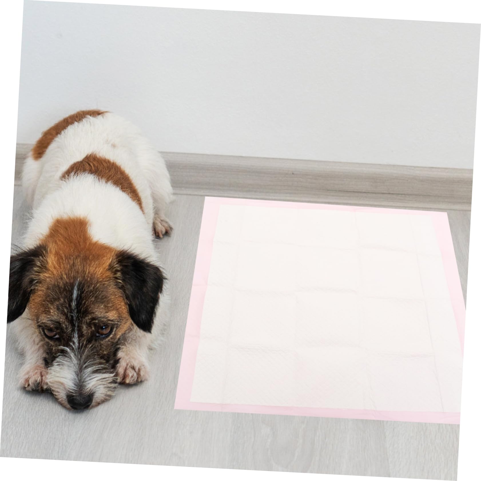 40pièces Tapis Urine Jetable pour Animaux Petits Tapis pour Chiots Urine pour Dressage Coussin Jetable pour Chiens Et
