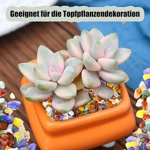 Caelura 200g Edelsteine für Kinder,Bunt Trommelsteine,Glückssteine,Halbedelsteine Mischung für Dekoration, Edelsteinspiel, Kindergeburtstag