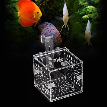 Fish Tank Breeding Isolation Box Breeder Isolation Divider Hatching Box Acrylic Transparent Aquarium Hatchery Incuor Holder(10CM10CM10CM)