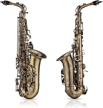 Antique Finish EB E-Flat Alto Saxophone Sax Shell Key Carve Pattern Woodwind Instrument with Case Other Aeccessaries Student Saxophone