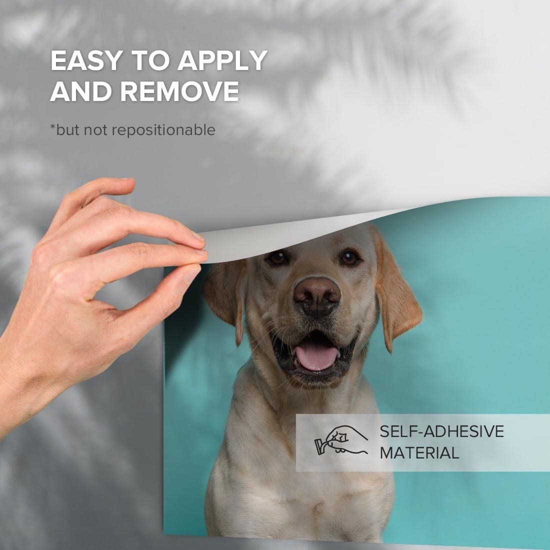 Labrador Retriever Anatomy Sticker - 5" Waterproof Vinyl Decal For Cars & Laptops