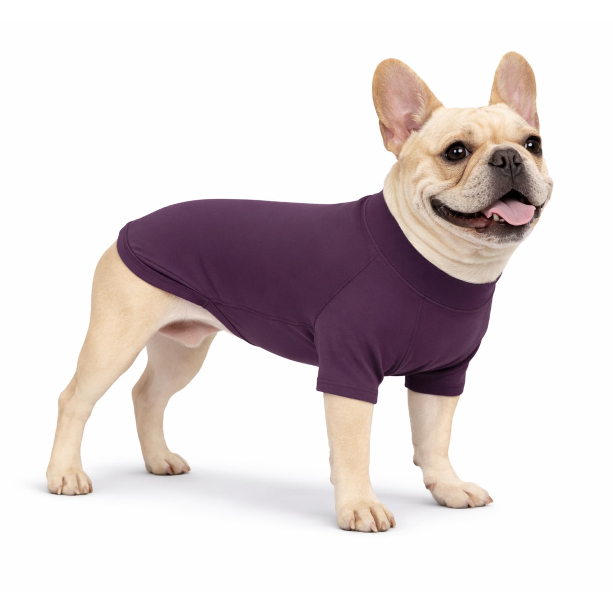 T-shirt pour chien mauve taille L en coton extensible toutes saisons