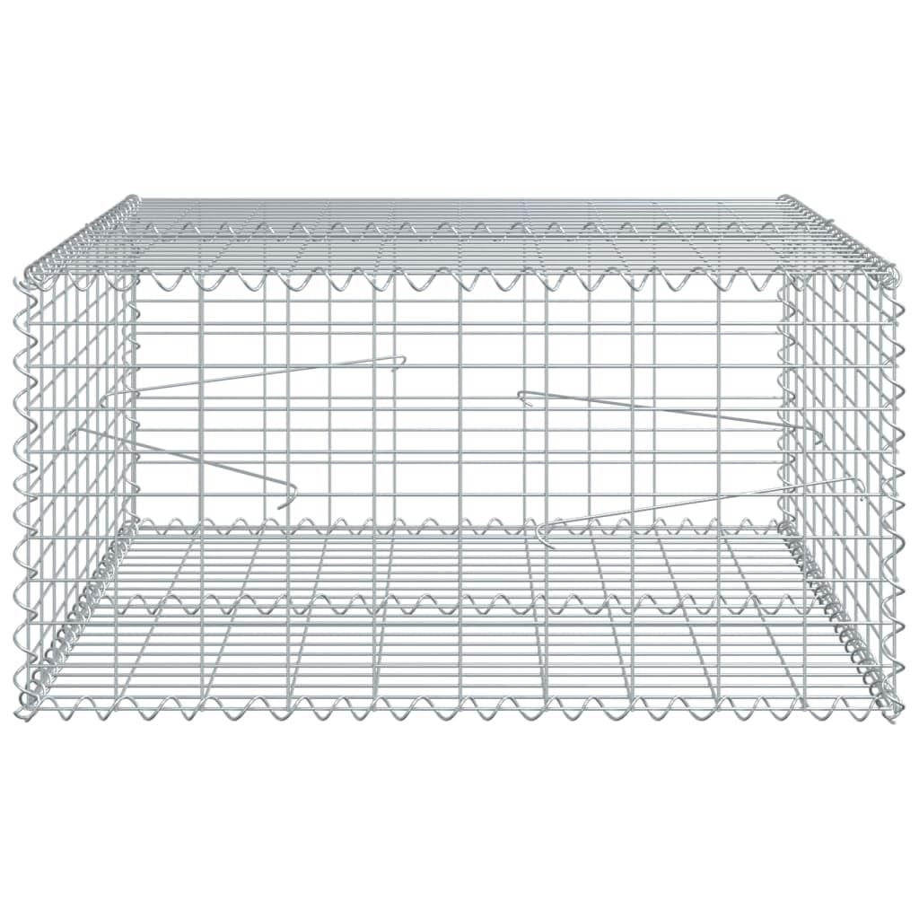 Gavión con tapa, 100 x 100 x 50 cm, cesta de piedra, hierro galvanizado | Cesta de piedra resistente para jardín para proteger las pendientes, como protección visual o borde de jardín en exteriores.