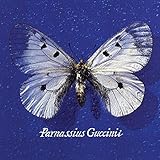 Universal Music Parnassius Guccinii