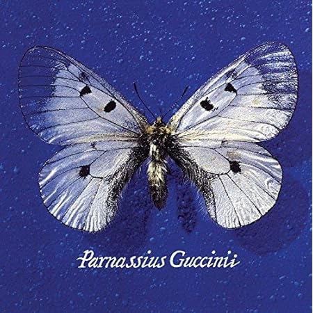 61dAcTCXGaL. SL500 . SS450