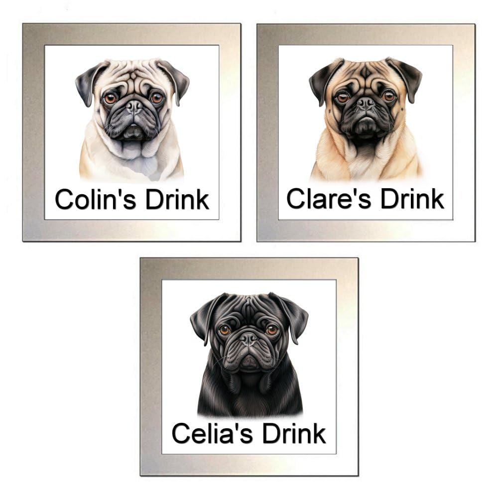 Key Expressions Silver Personalised Pug Dog Glass Drinks Coaster - Three Designs Available