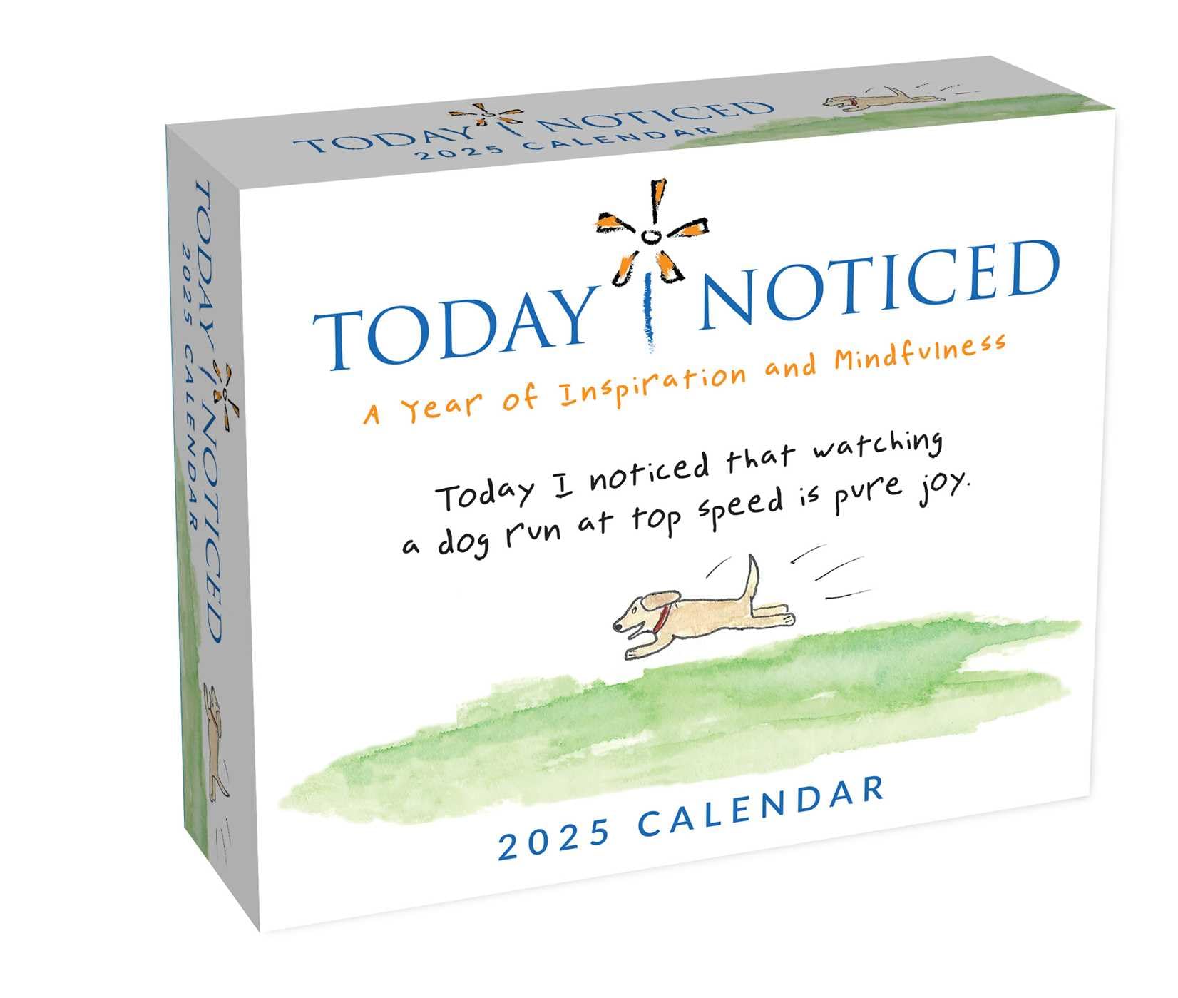 Today I Noticed 2025 Day-to-Day Calendar: A Year of Inspiration and Mindfulness