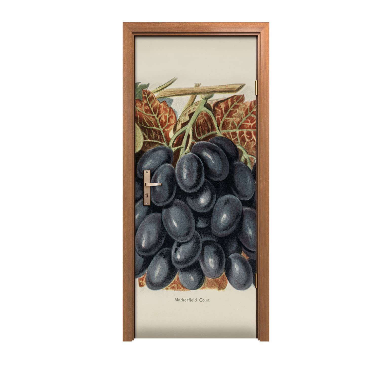 Autocollant de porte 90x200cm aux motifs de feuilles et fruits pour décoration murale
