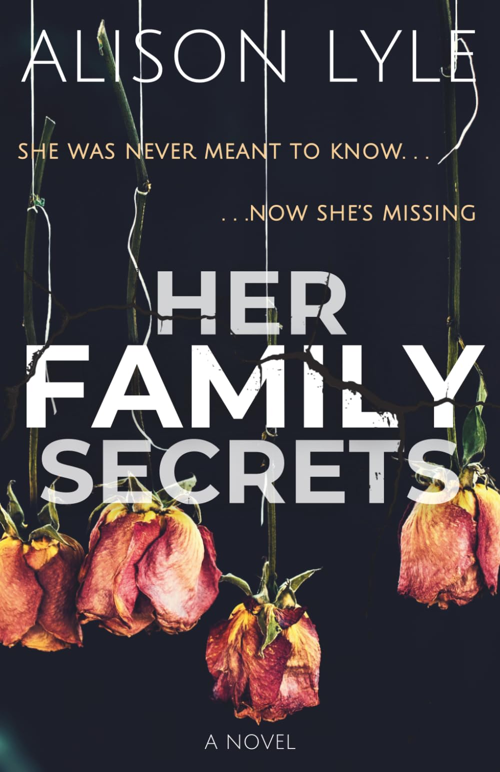 Her Family Secrets: A Psychological Thriller (Standalone Psychological Thrillers)