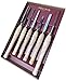 Robert Sorby 67HS 6 Piece Lathe Turning Set with 3/4