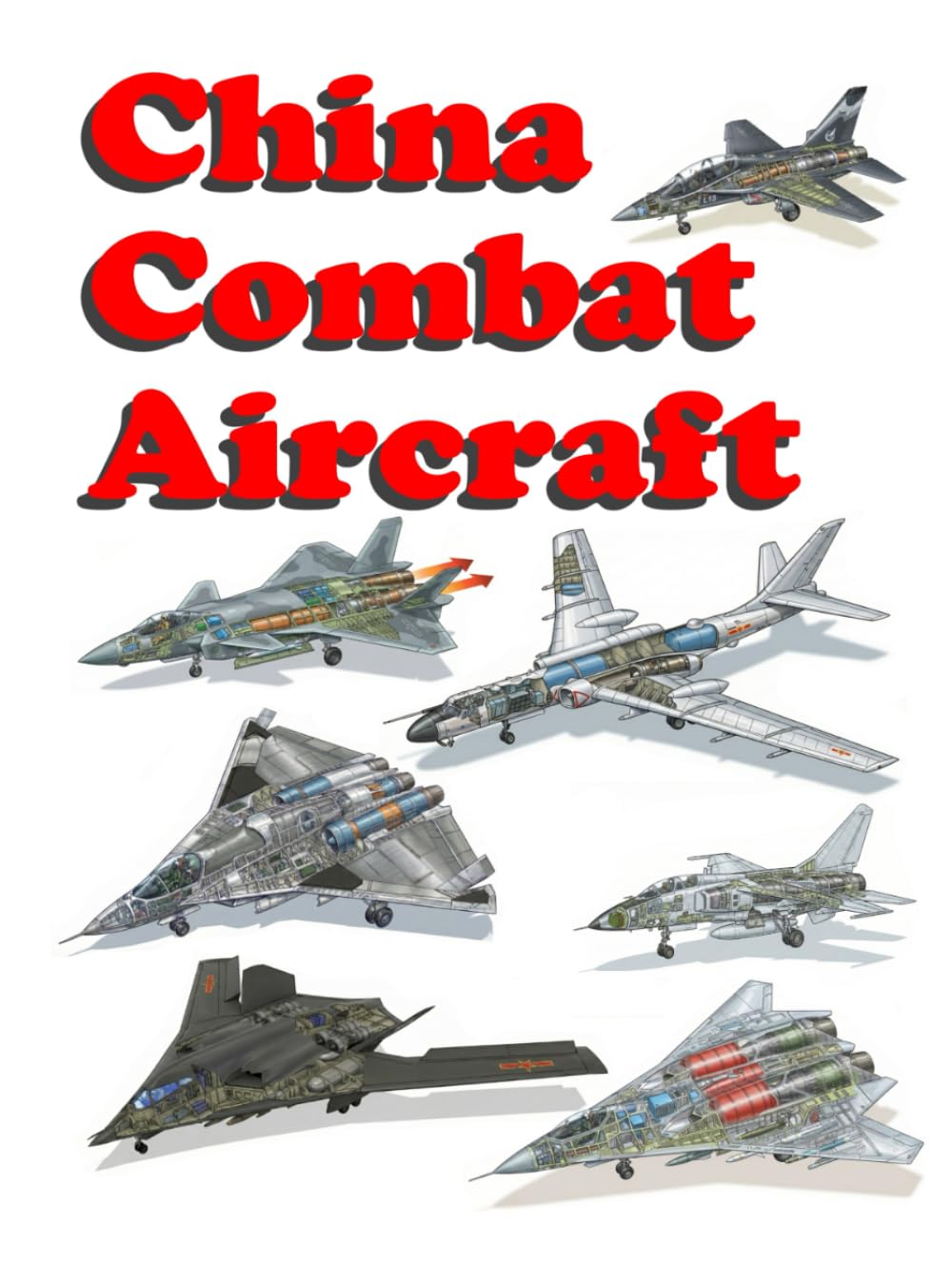 China Combat Aircraft