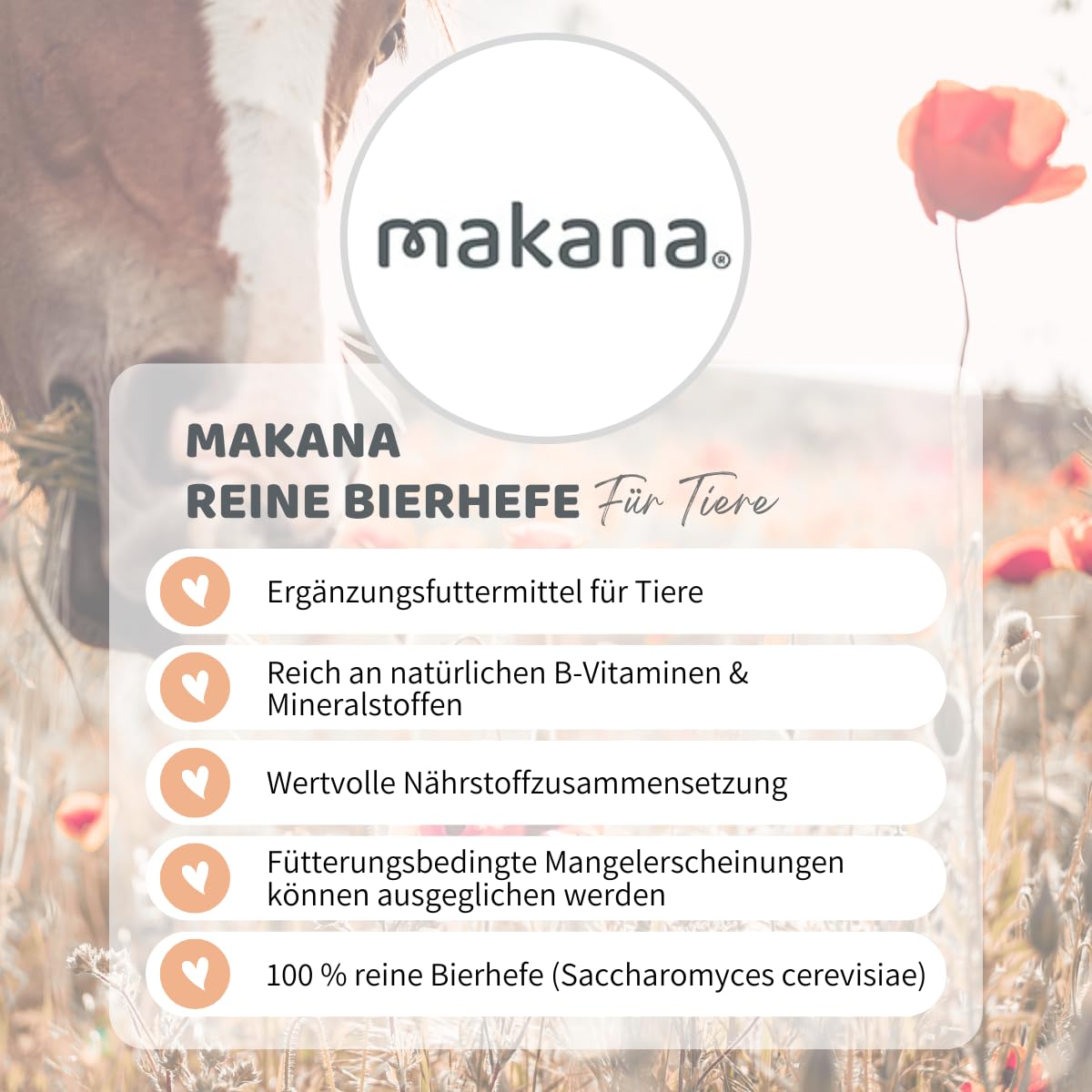 Makana Levadura de Cerveza Pura, 1 Bolsa de 1,5 kg
