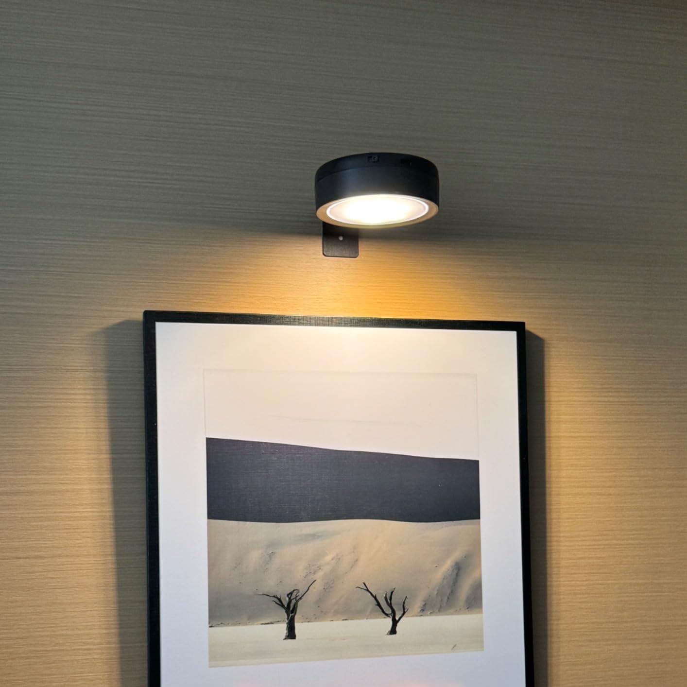 Wireless Rechargeable Over Picture Lights for Wall, 2600mAh Battery Operated Art Light for Paintings Cordless Light Above Picture Frame USB LED with Remote Magnetic