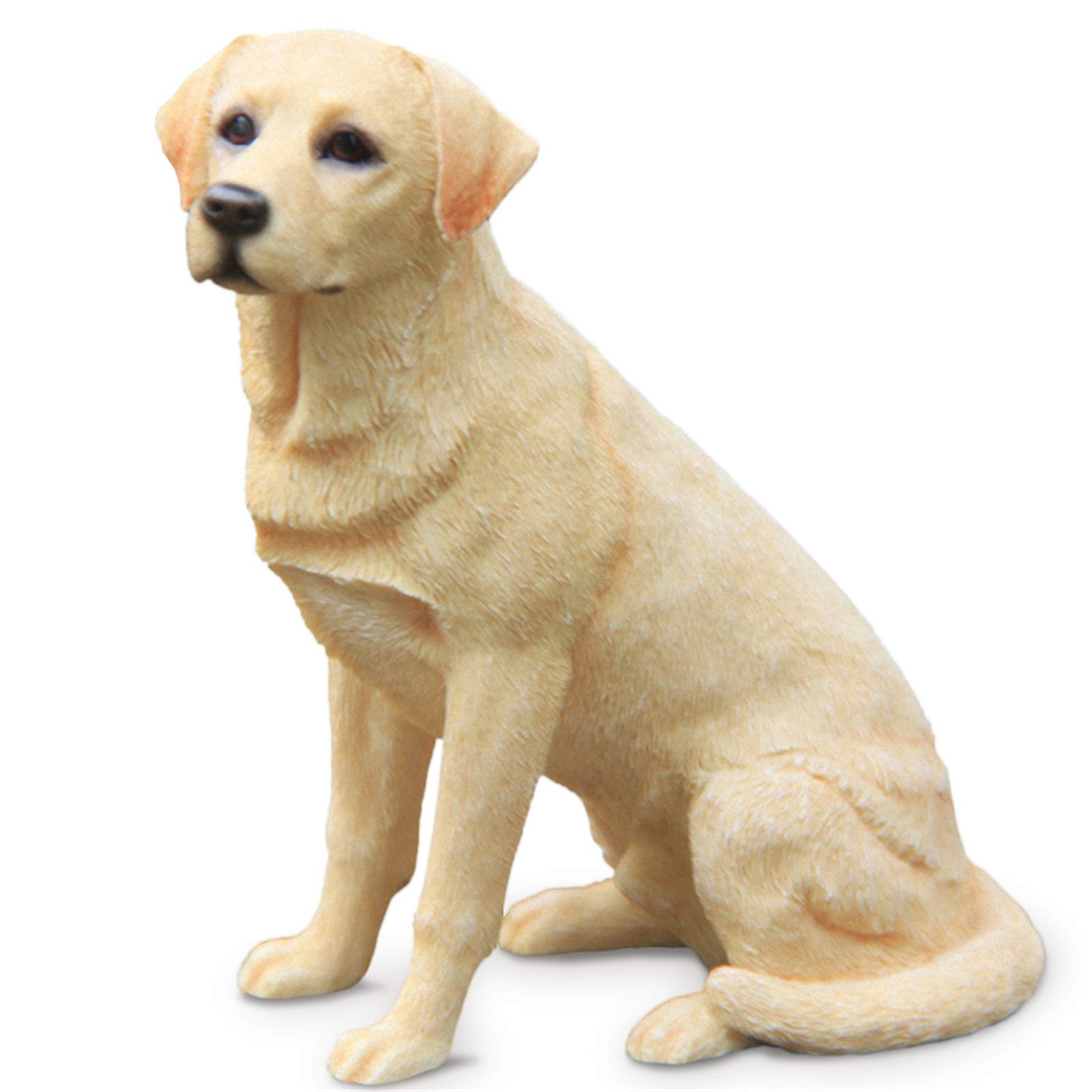Amazon | JJM ラブラドール・レトリバー 座り 可愛い 犬 動物 リアル