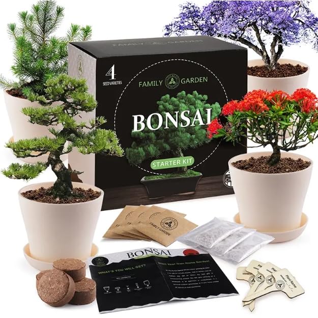 Family Garden – Kit completo de semillas para cultivo de bonsái – 4 Especies de bonsái diferentes para cultivar – Incluye guía completa de plantación y cuidados en español – Ideal para regalo.