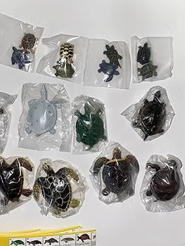 Amazon.co.jp: Yujin 原色爬虫類カメ目図鑑 シークレット含む 全