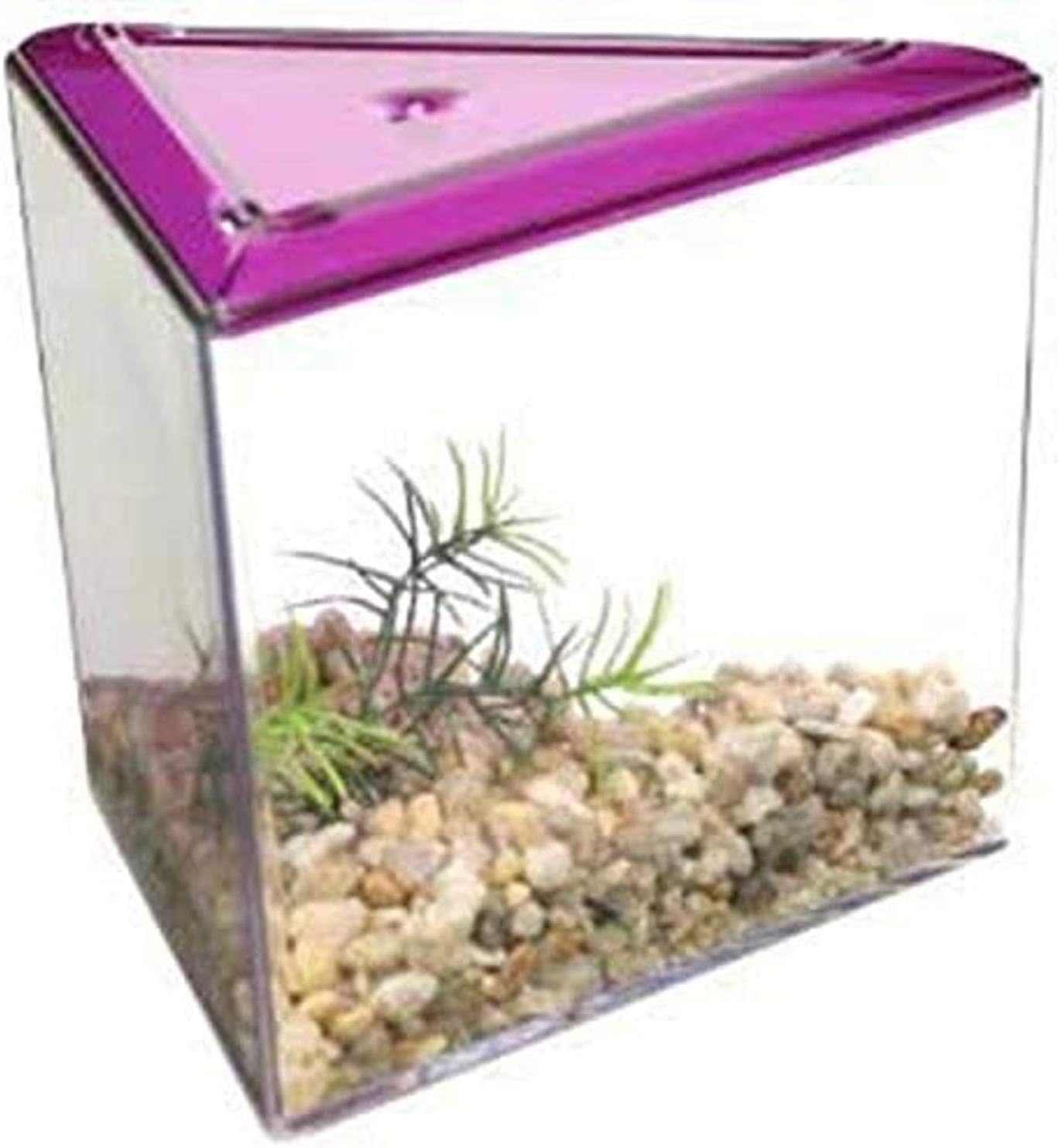 triangle fish tank