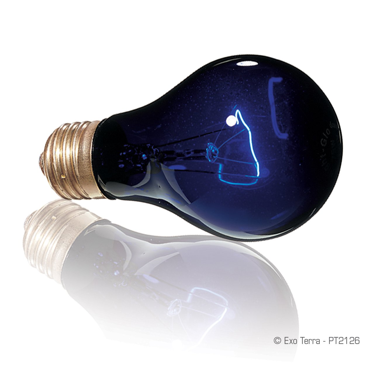 Amazon | GEX EXOTERRA ナイトグロー ムーンライトランプ 50W 夜行性