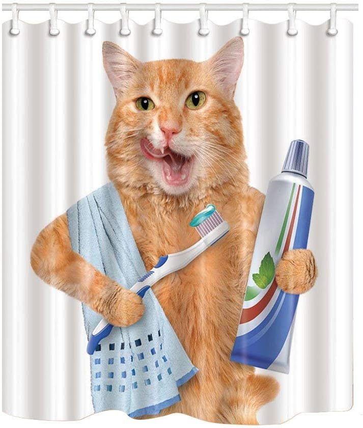 Funny Animals Shower Curtain Decor Toothbrush Cat Shower Curtains for Kids Bathroom Cat Brushing Teeth Bath Curtain Polyester Fabric Shower Curtain Accessories with 12hooks 69x70inch