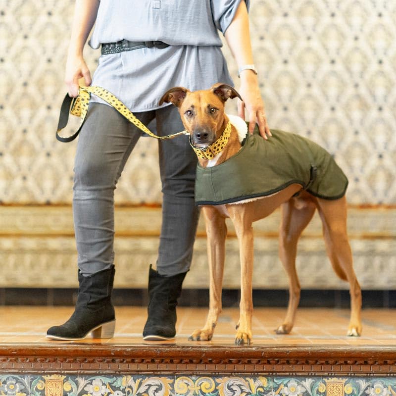 Wasserdichter Windhundmantel: Stil, Schutz vor Kälte und Regen, Lammfellfutter, Wärmedämmung, Loch für Geschirr, ideal für Windhunde, Greyhound und Podencos, Khaki, Größe L
