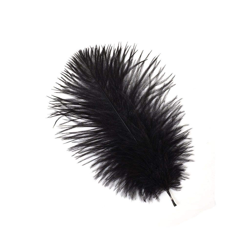 Zucker B802-B Ostrich Feathers 2/Pkg-Black