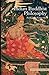 Indian Buddhist Philosophy (Ancient Philosophies)