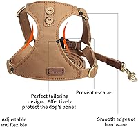 Vista 2 de Arnés sin tirones para perro, con correa multifunción, pechera suave y ajustable para mascota, no ahorca, chaleco a prueba de escape para perros