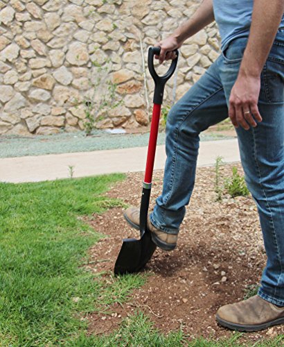 Tabor Tools Shovel With Rounded Blade And Comfortable D Grip 31 Inch Fiberglass Handle, Digging Spade. J201A. (D Handle, Round Blade)  #TOP2