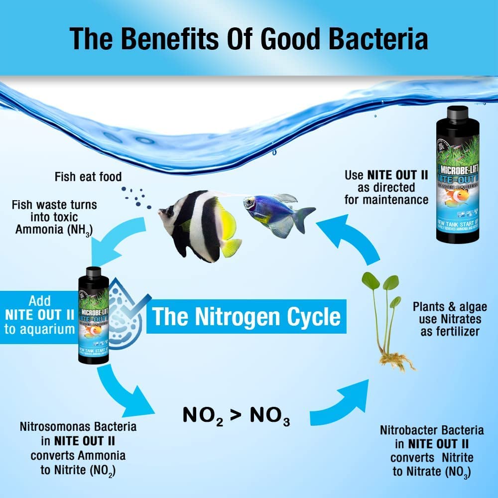 ARKA Nite-Out II - Fresh and Saltwater Aquarium Bacteria Starter for Fast Fish Inhabitation, 3785 ml
