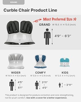 curble Chair [Adult] Ergonomic Back Support Chair, Lumbar Support for Back Posture Corrector and Back Pain Relief, Portable and Perfect for Office Chair and Work Form Home (2 Pack Black Grey)
