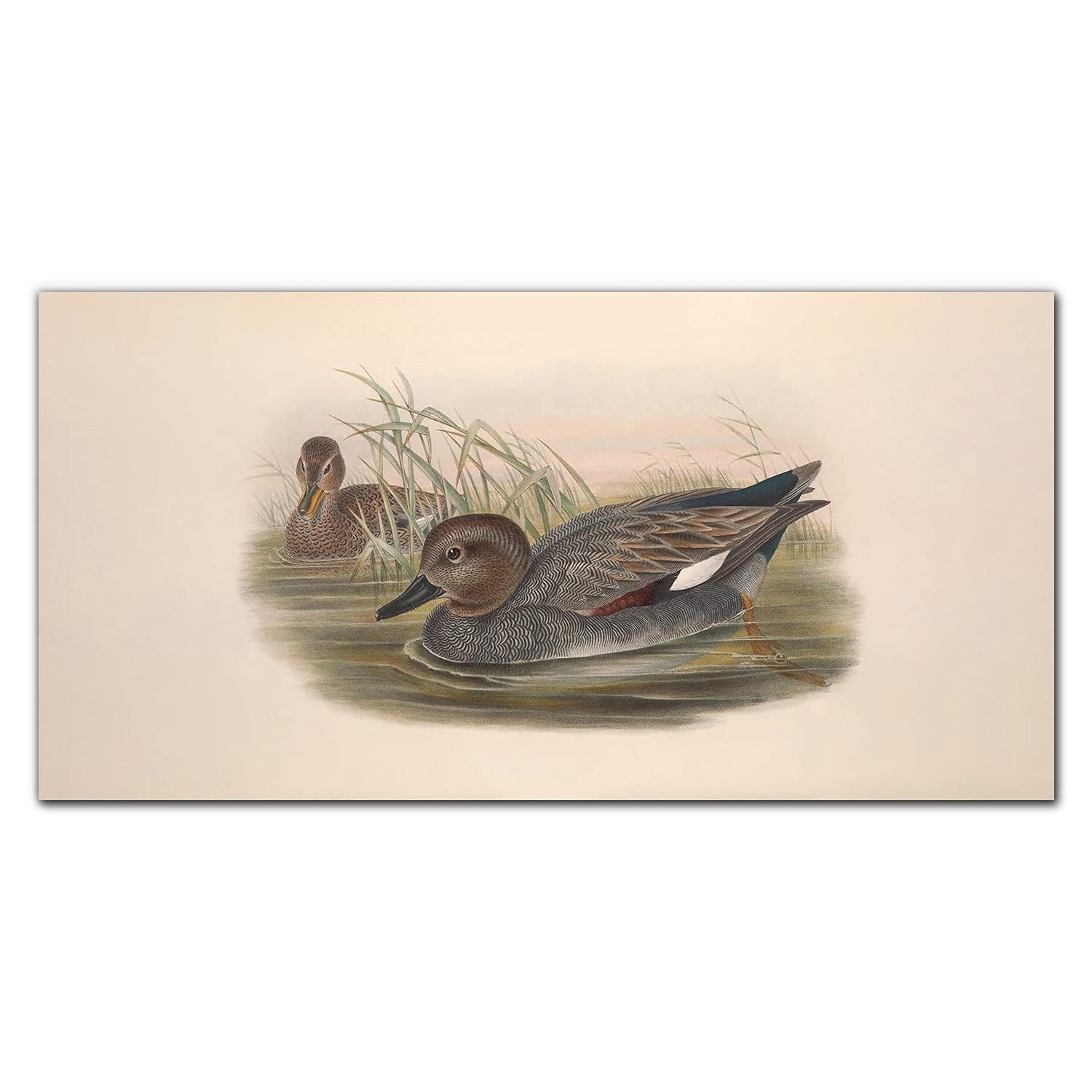 Dosseret en verre trempé 100x50cm décoration murale premium motif animaux oiseaux