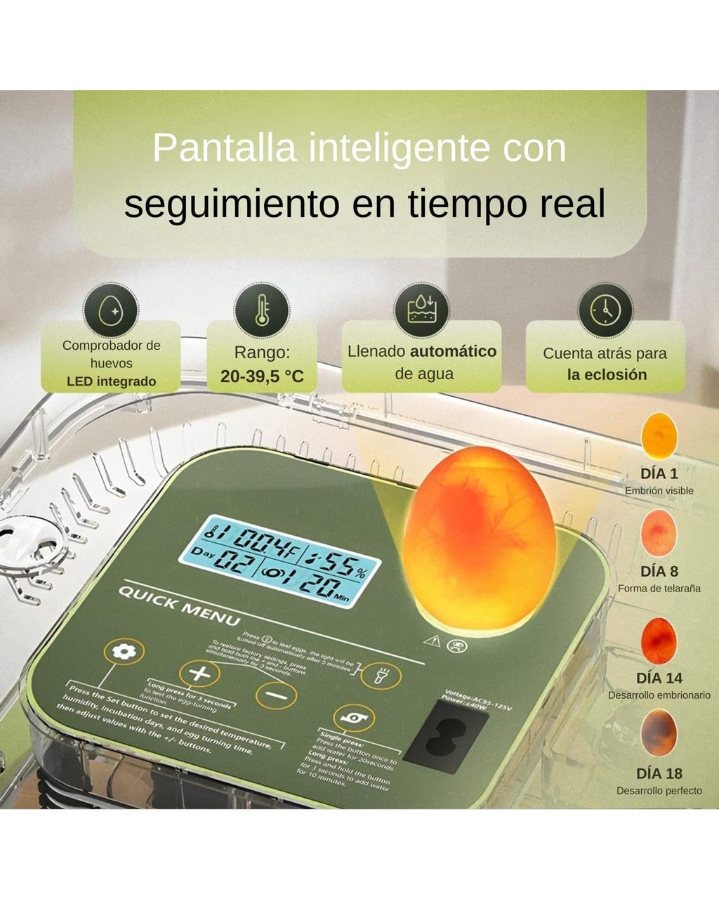 Egg&Co Start 12 – Incubadora automática 12 huevos gallina (36 codorniz). Control preciso de humedad, volteo automático, botella y ovoscopio incluidos. Ideal para principiantes y expertos.