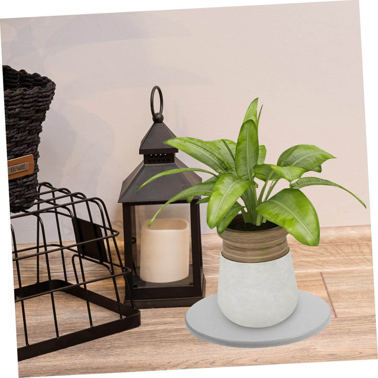 Plant Drip Trays Flower Pot Saucers Water Absorption Trays for Potted Plants