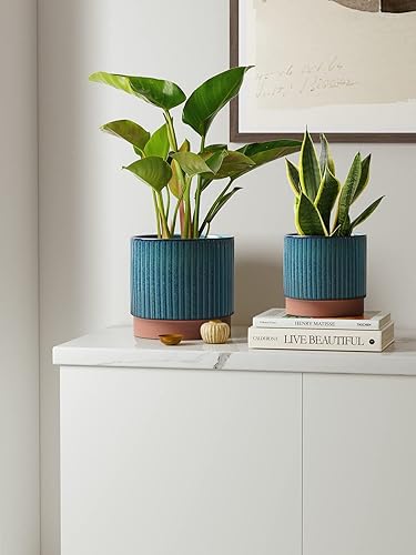 Miniatura 30 de LE TAUCI Macetas de cerámica para plantas, macetas de 8 + 6.7 + 5.5 pulgadas para interiores, maceta con agujeros de drenaje, macetas cilíndricas