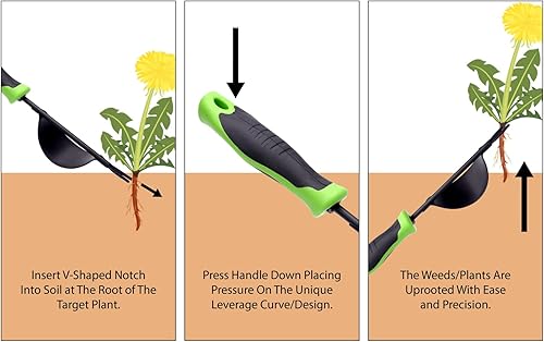 Miniatura 4 de Herramienta de deshierbe, desbrozadora de alta resistencia, diseño de apalancamiento, extracción de malezas y excavación profunda, mango ergonómico