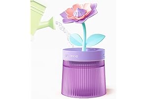 Mini Humidifier with Flower & Night Light for Desk