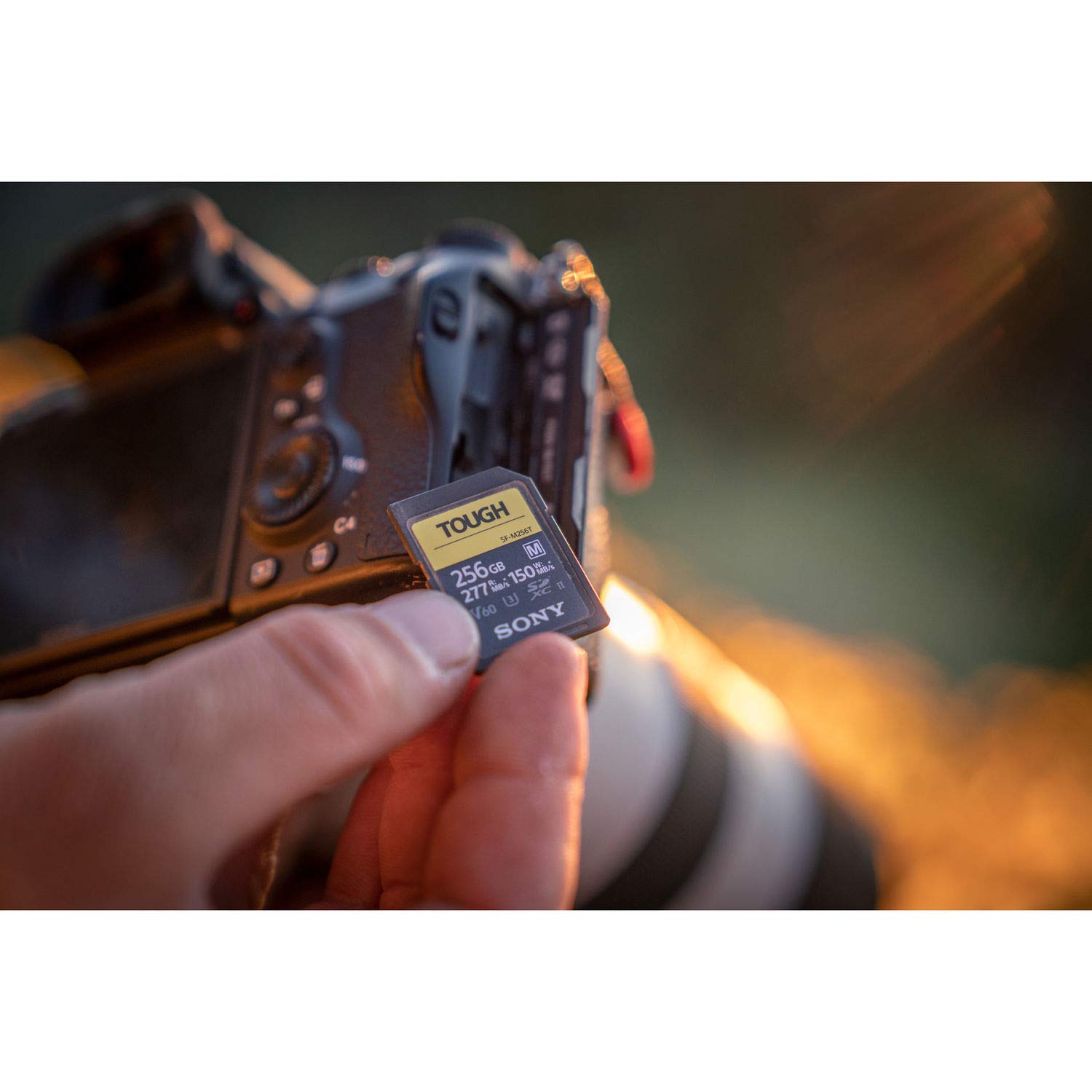 Sony 256GB SF-M Series Tough Specification UHS-II U3 V60 SDXC Digital Memory Card - Read 277MB/s Write 150MB/s SFM256T, SFM256T/T1