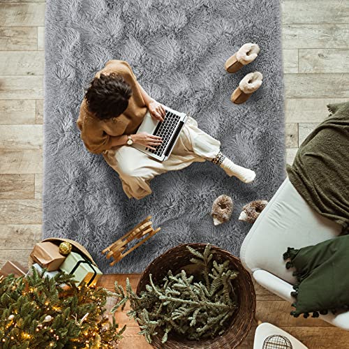 Softlife Rug For Bedroom 4X5.3 Feet Area Rug For Living Room Super Soft Shaggy Rugs For Kids Room Fluffy Fuzzy Carpets Long Plush Bedside Rug Nursery Home Decoration For Boys Girls, Grey #TOP4