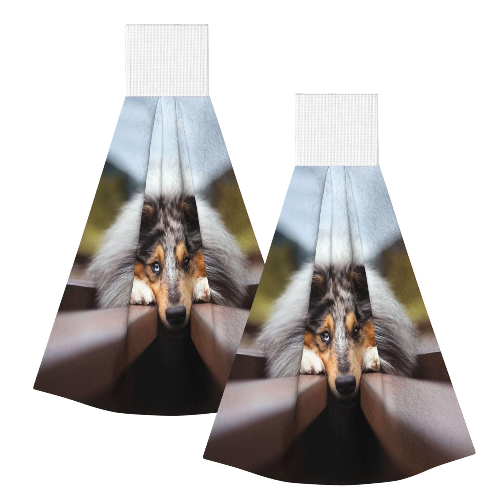 DOPKLNA Rough Collie Bokeh Railway Dogs Pets Rough, 2 Pcs Hanging Coral Fiber Hand Towels for Bathroom, Absorbent Kitchen Towels