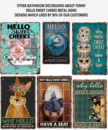 Eeypy Hello Sweet Cheeks Decor Pink Flamingo Why Hello Sweet Cheeks Have A Seat Tin Sign, Bathroom Decor, Wall Art, Home Decor Bathroom Metal Sign #TOP5