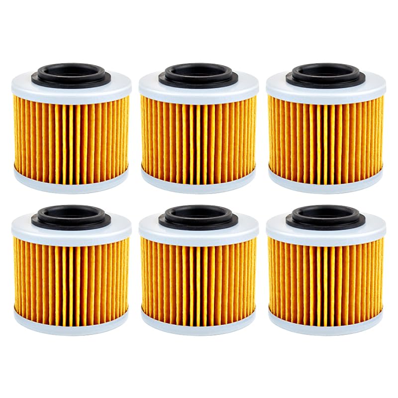 Motorrad-Ölfilter, kompatibel mit BMW F650 Funduro F650CS F650GS Darker F650ST G650 Xchallenge Xcountry G650X Sertao(6pcs)