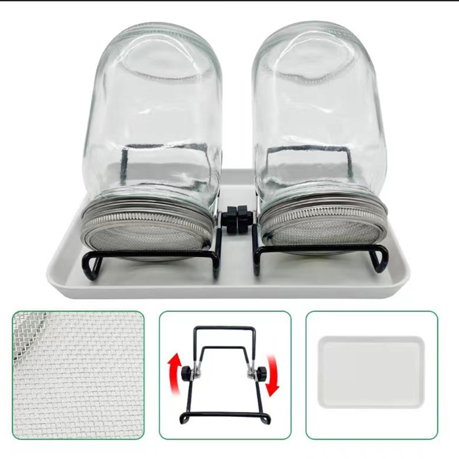 Kit de Germination pour la Maison Légumes Santé à