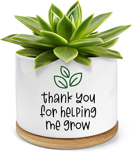 Thank You for Helping Me Grow - Divertidas macetas pequeñas de cerámica para suculentas, macetas de interior con bandeja de bambú, regalos de