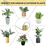 Remiawy Watering Can Indoor Outdoor Stainless Steel Watering Cans for House Plants Long Spout Water Can for Succulent Bonsai Garden Flower(40oz/1300ml)