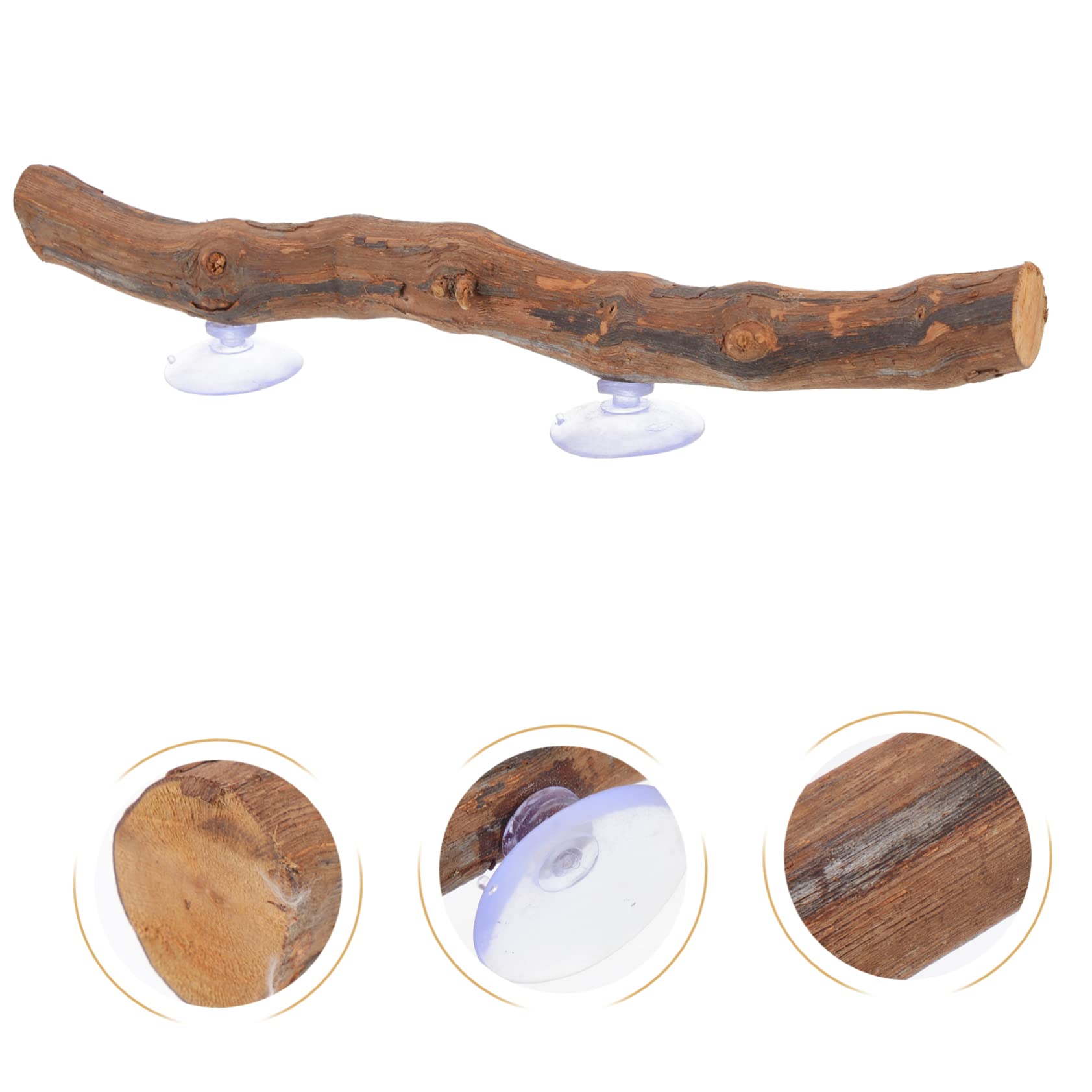 Yardwe 4 Piezas de Mascotas Lagarto Enredaderas para terrario de Reptiles decoración del terrario de Reptiles árbol Decoración para terrarios Accesorios para Reptiles de Madera