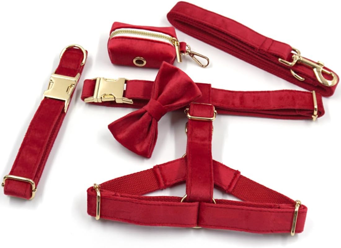 PETDURO Personalized Fancy Cute Soft Velvet Dog Harness with Name Engraved Gold Metal Buckle for Female Girl Boy Dogs of Medium Small Large Sizes and All Breeds (Red, S)