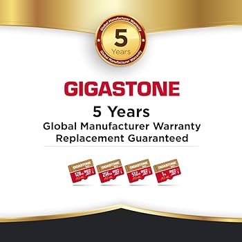 Amazon | Gigastone マイクロsdカード 1TB Camera Pro MAX 4K