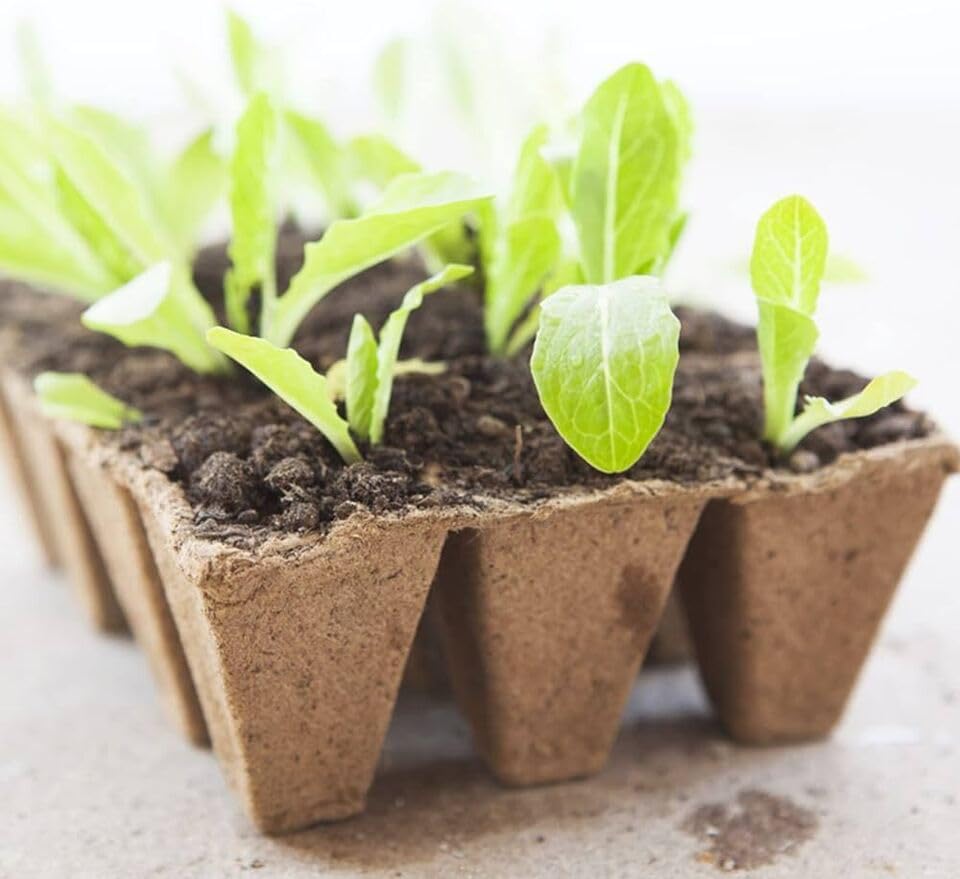 Garden Mile Seed Trays Seedling Pots Biodegradable Plant Pots Fibre Seed Pots, Plant Germination Trays 36 Pods Fiber Organic Planters for Outdoor Indoor Growing Plants Seed Starter Nursery